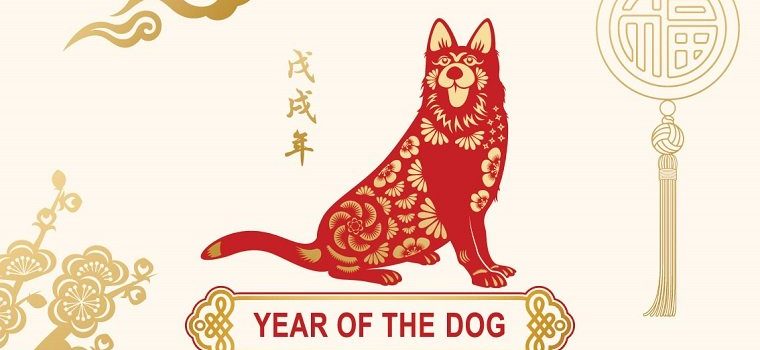Chinese Dog Feature